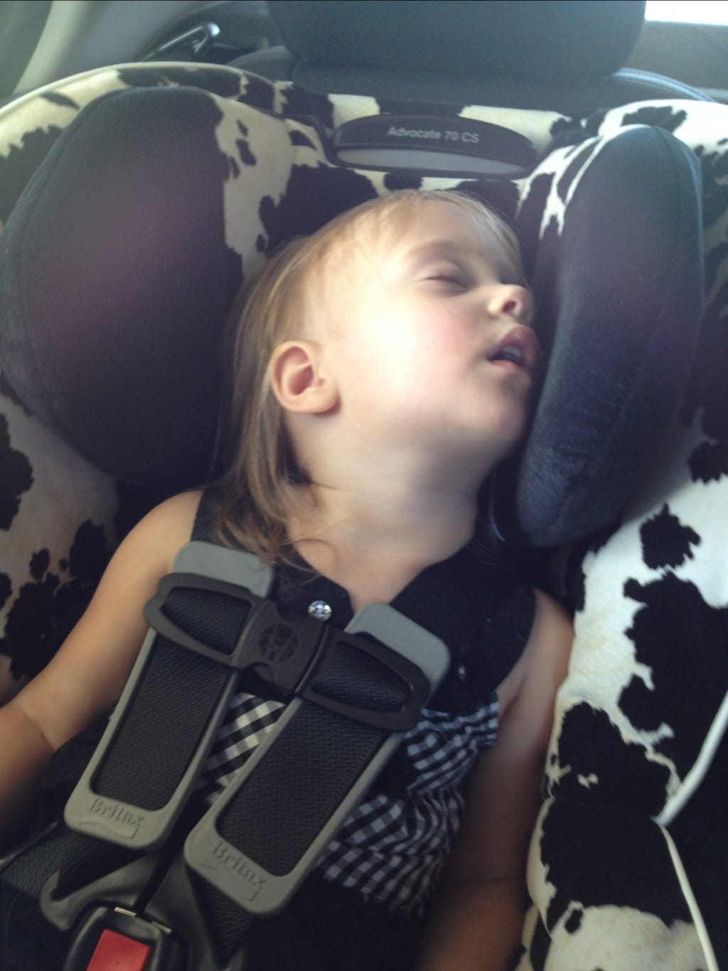 20120606-171536.jpg