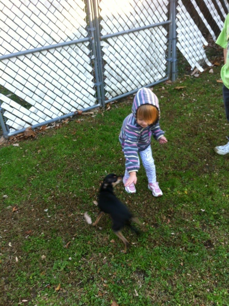 20121111-155250.jpg
