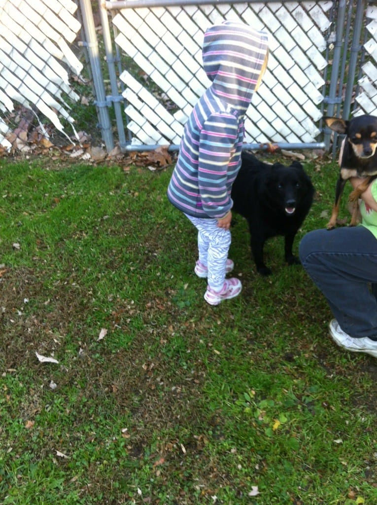20121111-155301.jpg