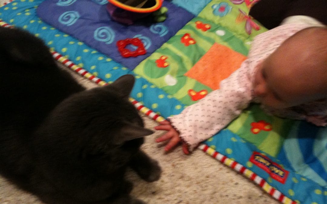 My kitty Charlie is so close…