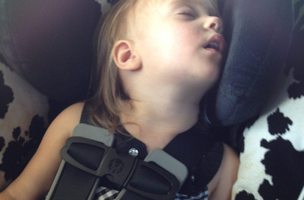 Sleeping turd