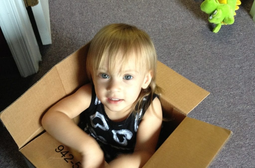 Box-o-maddy