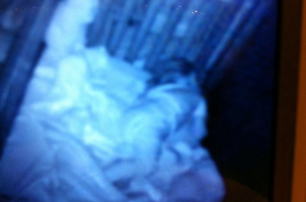 Early night