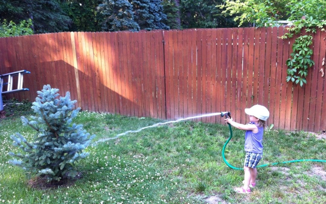 Watering Ernie