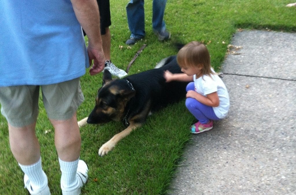 Another doggy