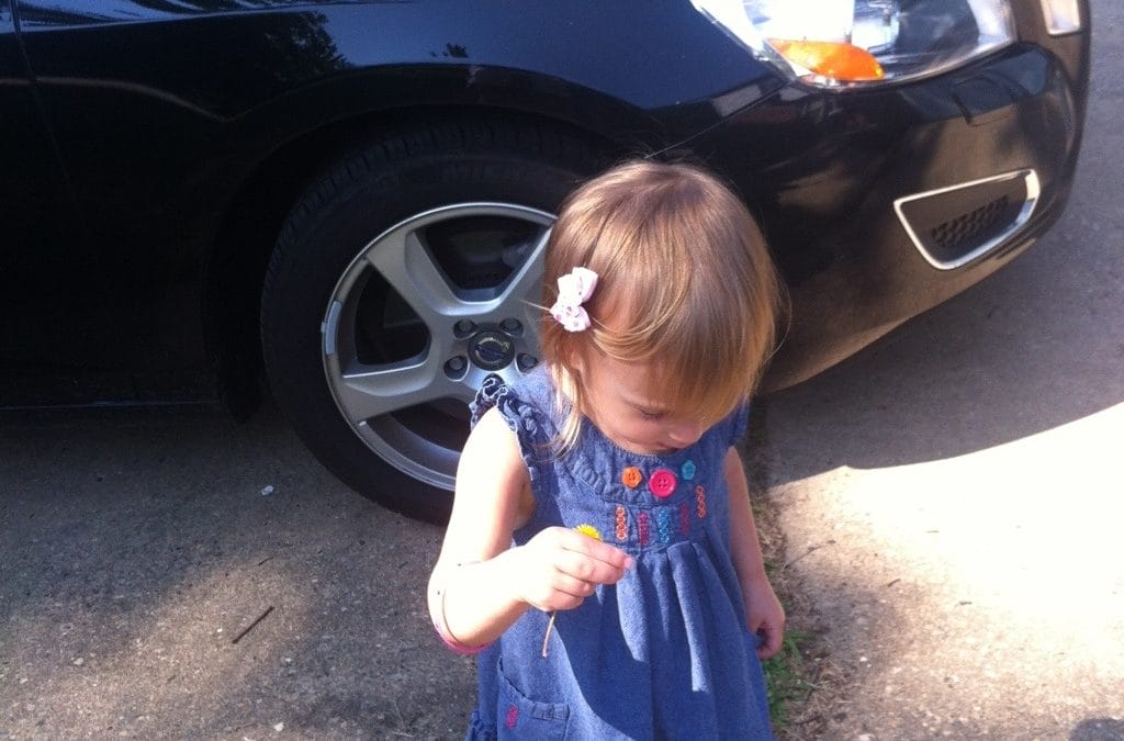 I have a flower