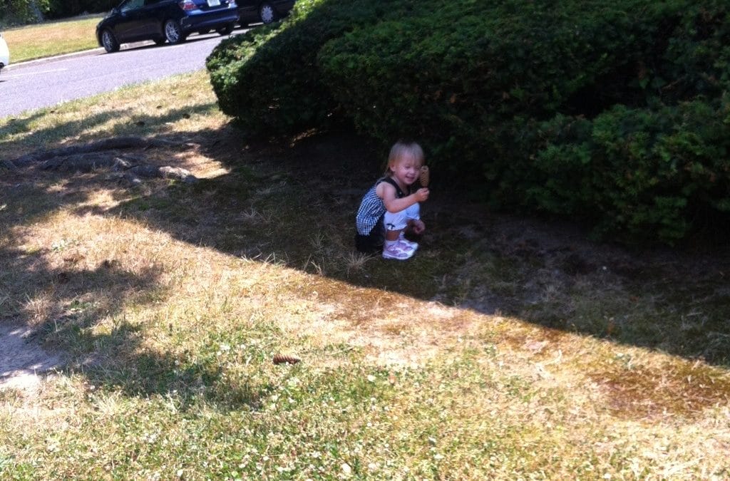 Fun with pine cones