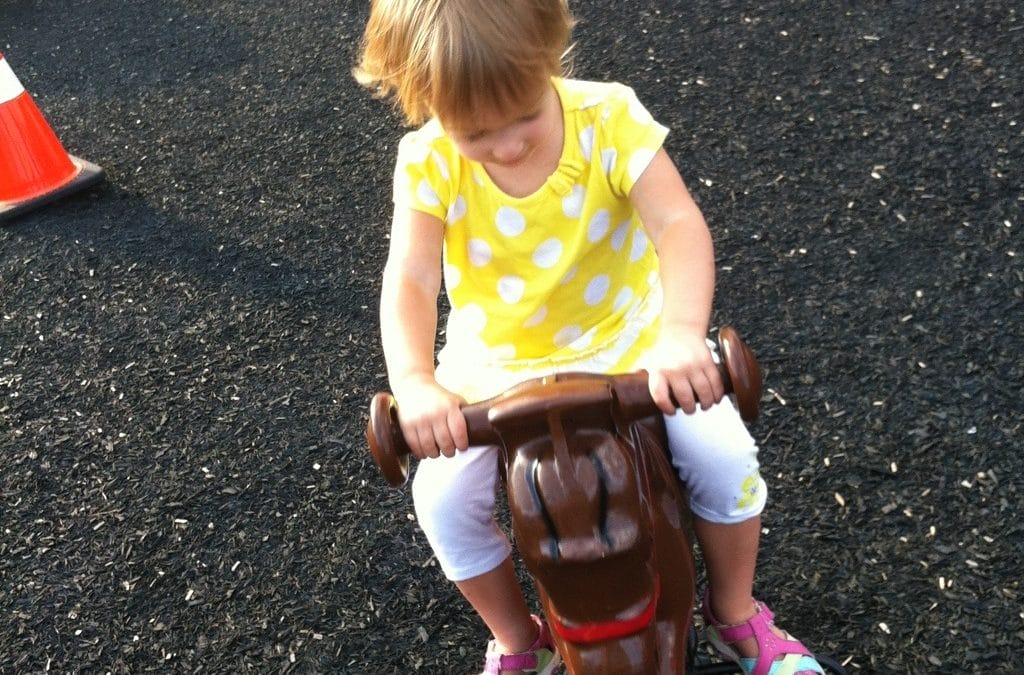 A fun evening at the park