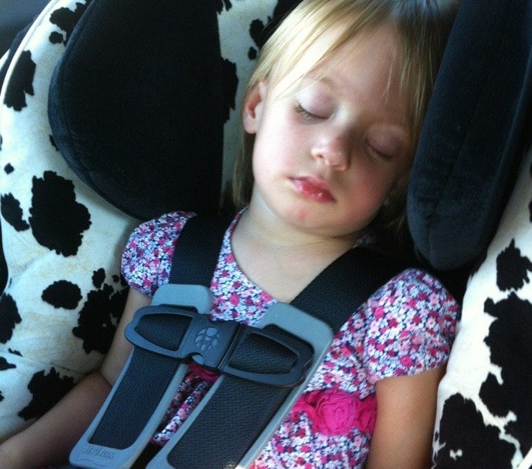 Asleep in the car again