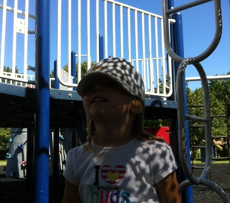 Beautiful day at the park
