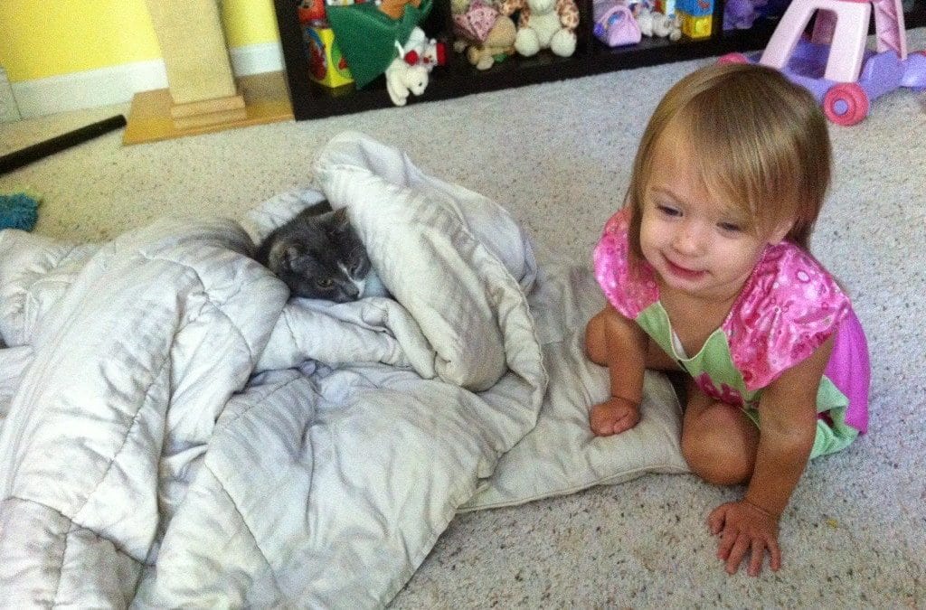 I love my kitty cats