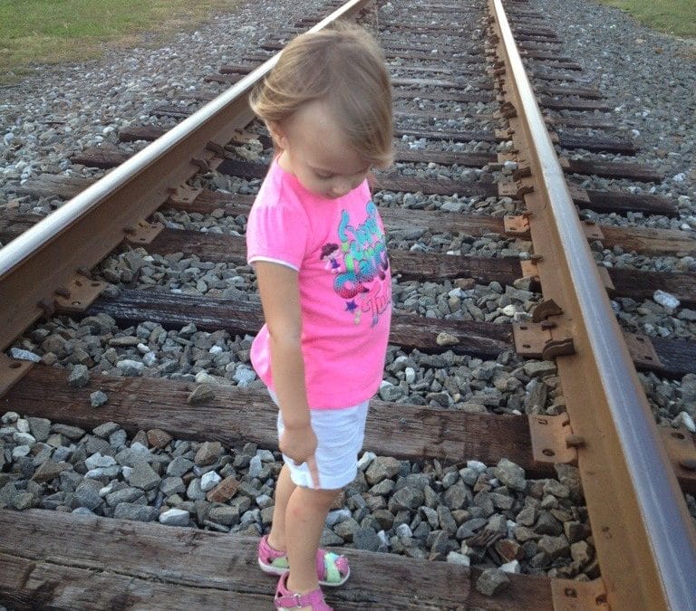 What type of tracks was I following?