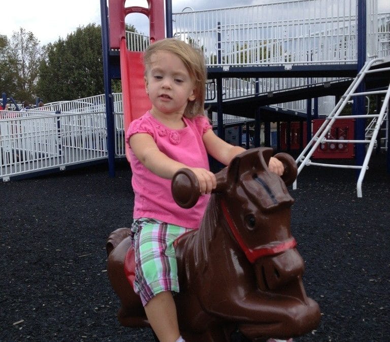 Fun at the park
