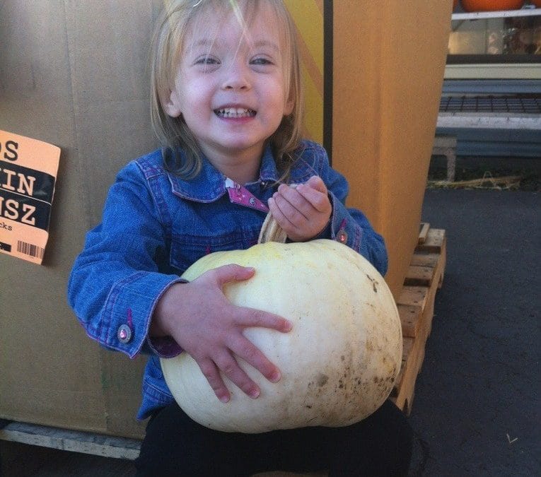Picked a punkin