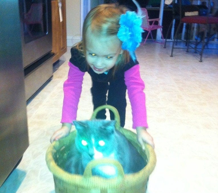 Maddy transport