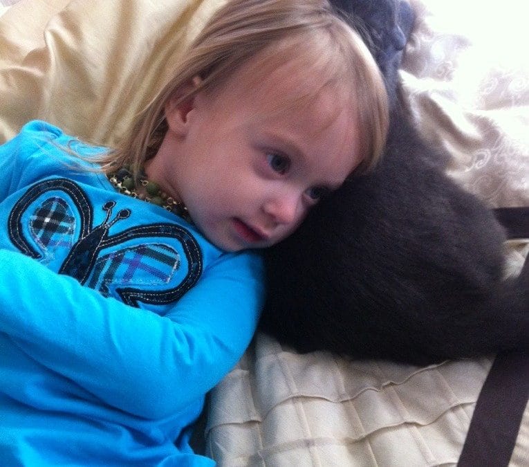Cuddle buddy