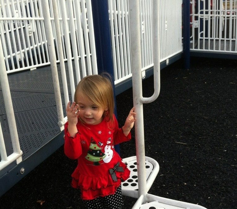 December day at the park