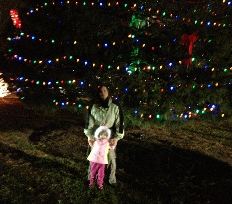 Christmas tree lighting