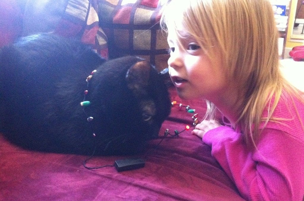 Decorating Sammy