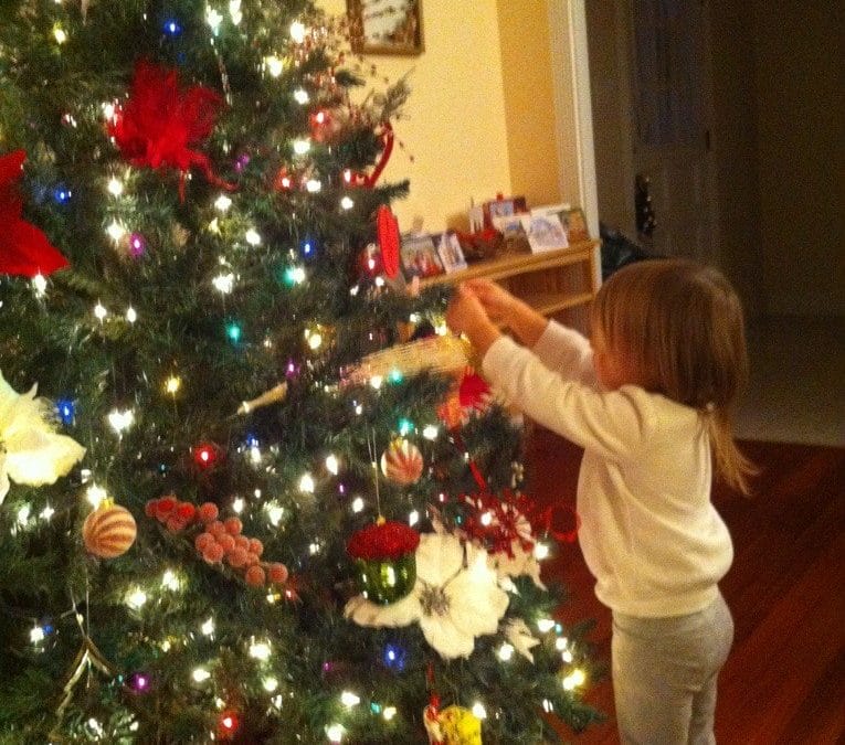 Trimming the tree