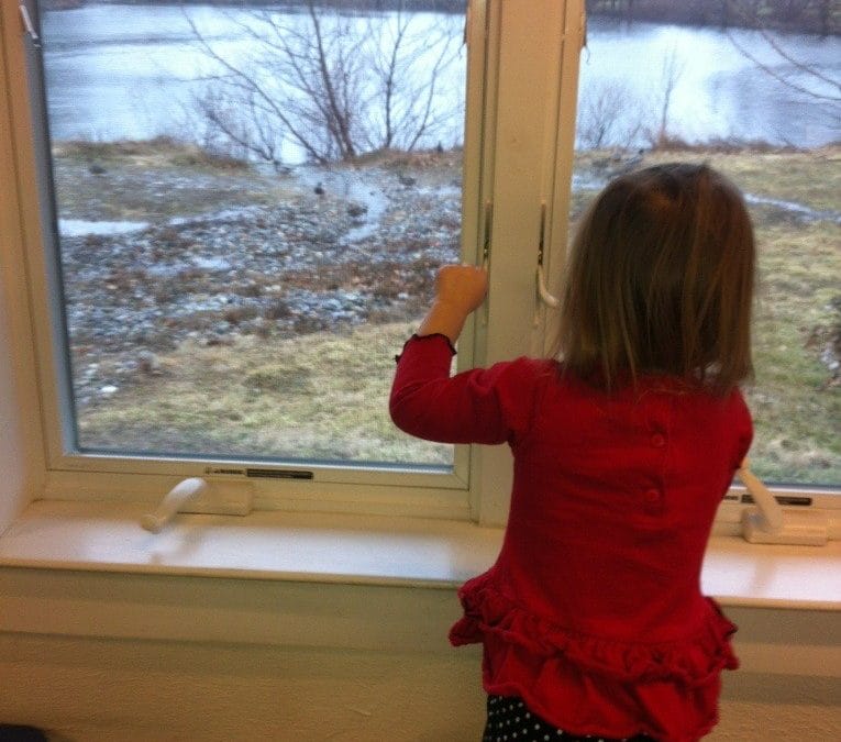 Watching the ducks