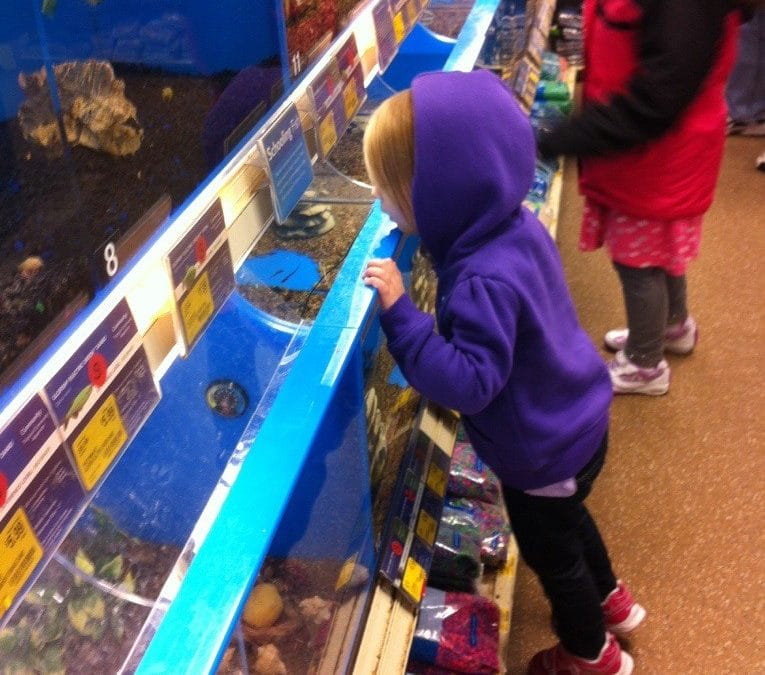 I want a fish!
