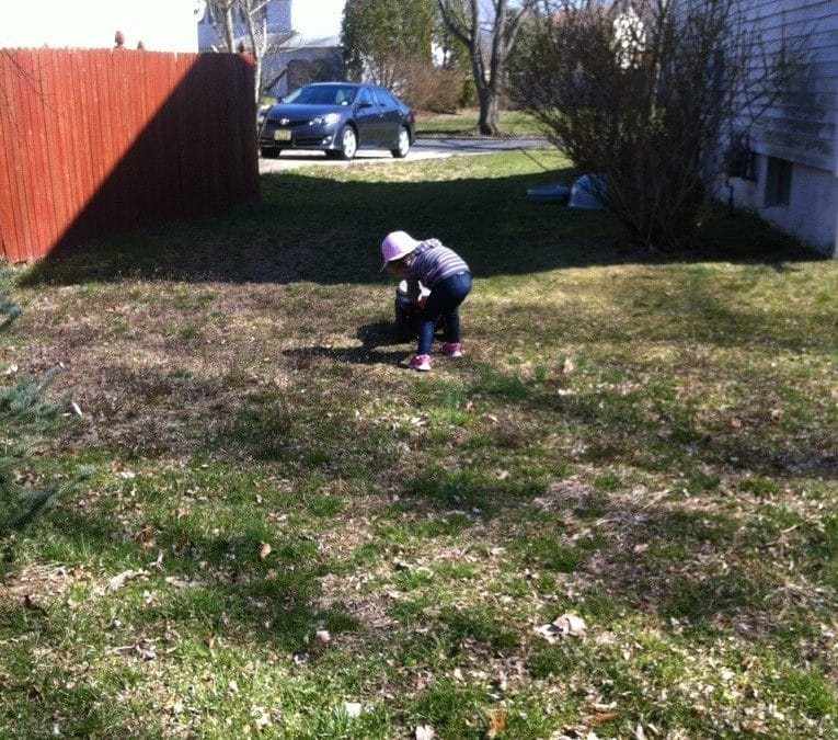 Yard work