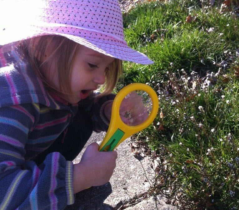 “Bug catcher”