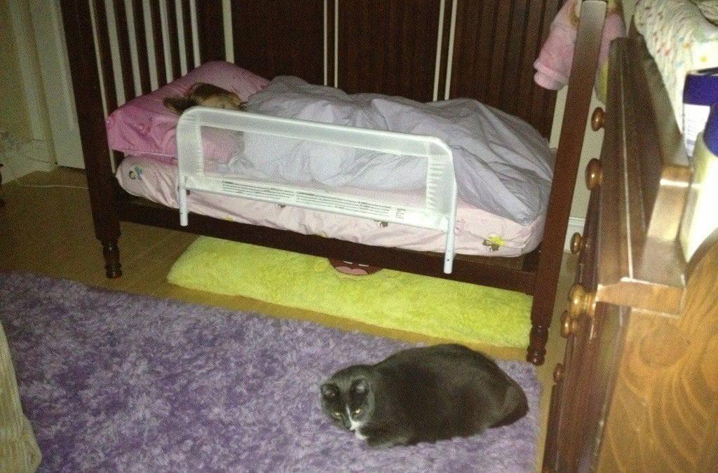 Stinky guarding maddy