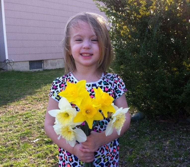 Pretty flowers