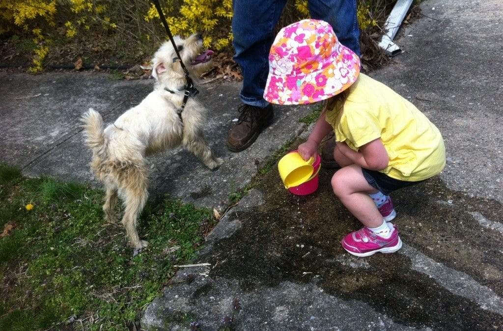 Puppy rescue!