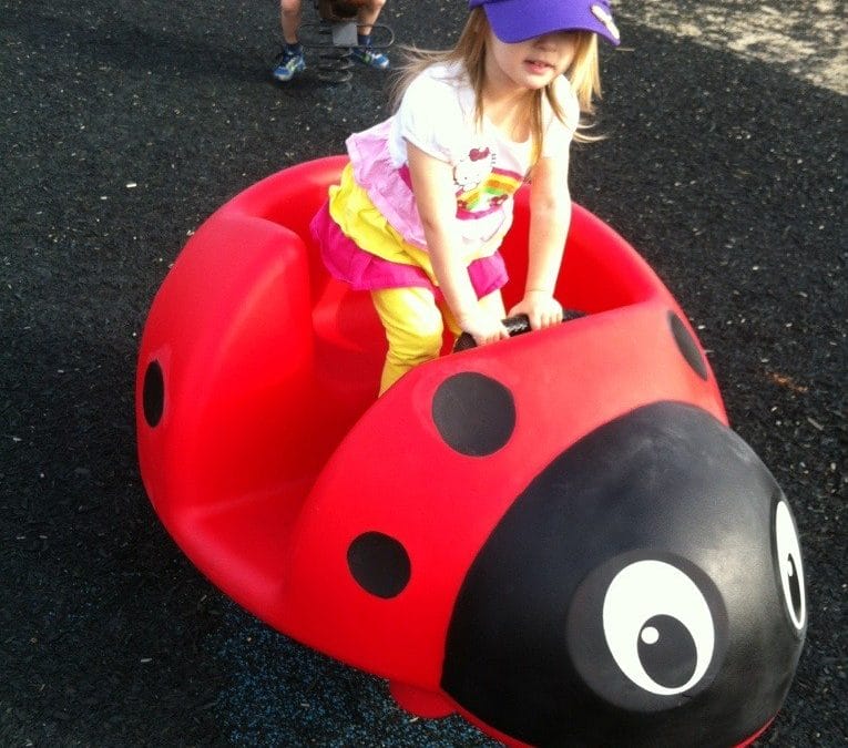 Ladybug!