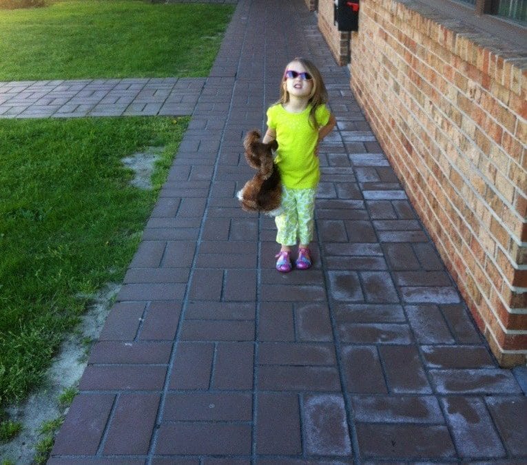 Sidewalk? Or catwalk?