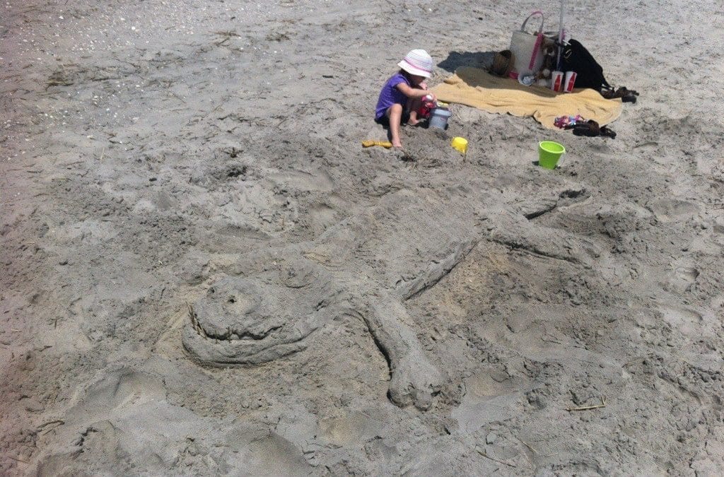 Lots of birthday beach fun