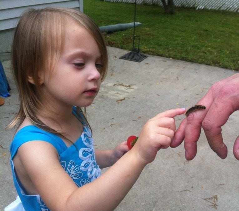 Caterpillar
