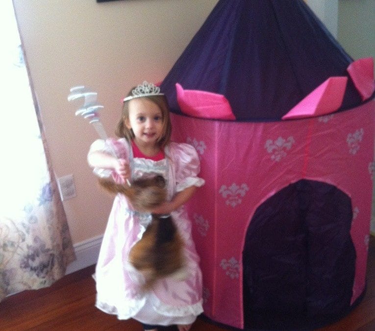 Fancy princess