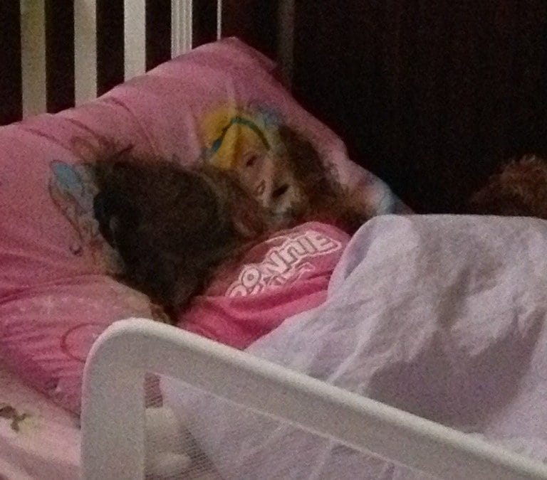 Napping Maddy