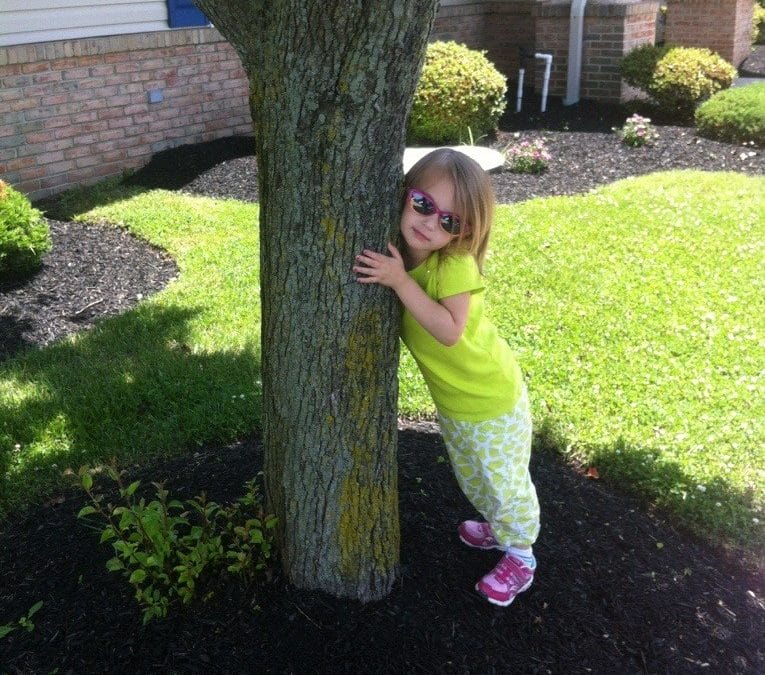 Tree hugger