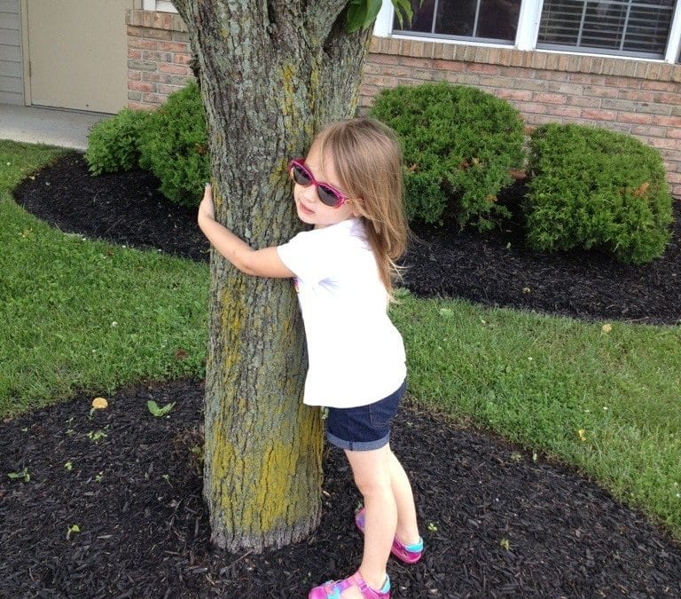 Tree hugger