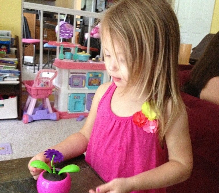 Pretty flowers