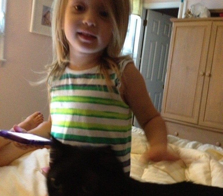 Kitties and iPhone