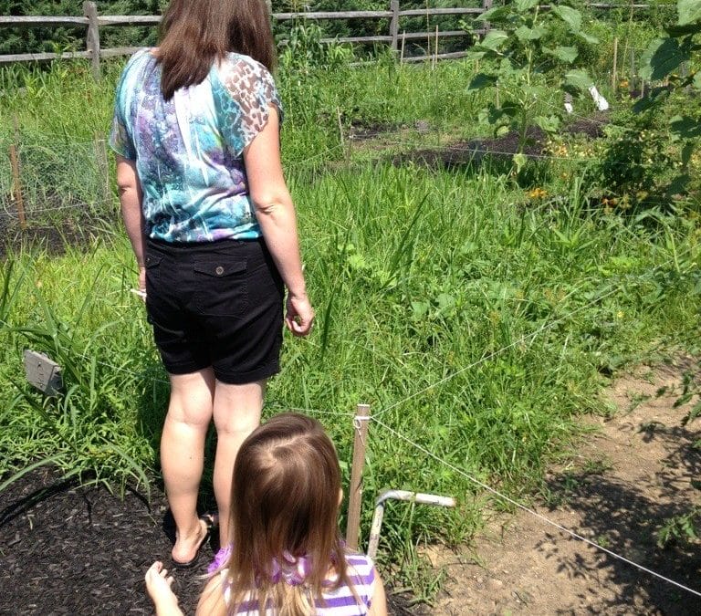 We stopped to check our garden