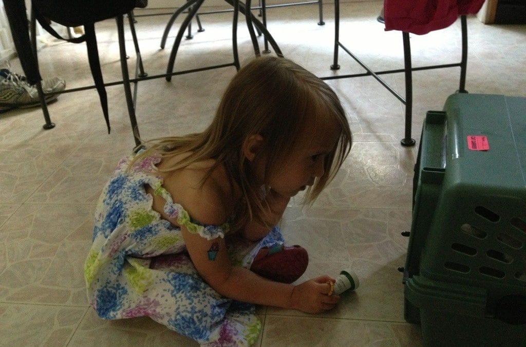 Taking Ipo to the vet