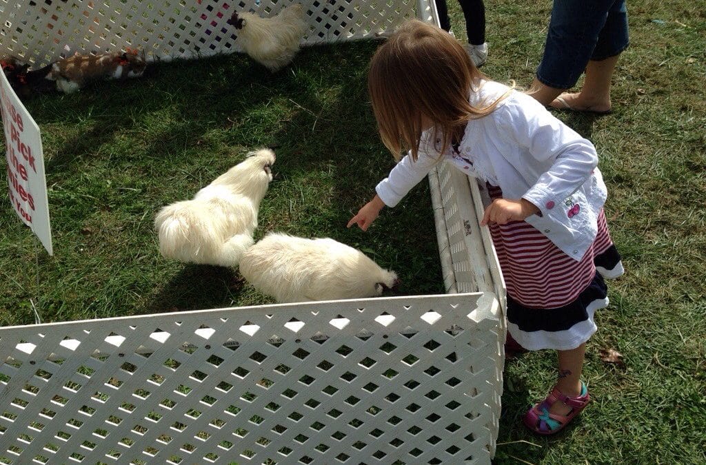 Barrington Harvest Festival