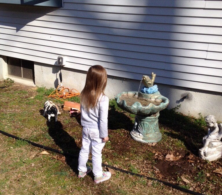 Dad set up my fountain