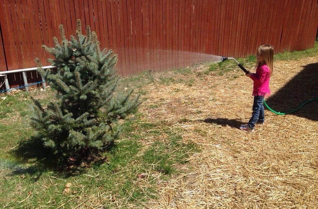 Giving Ernie a drink
