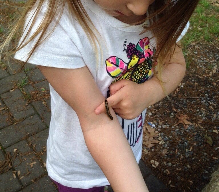 All creatures, great and small