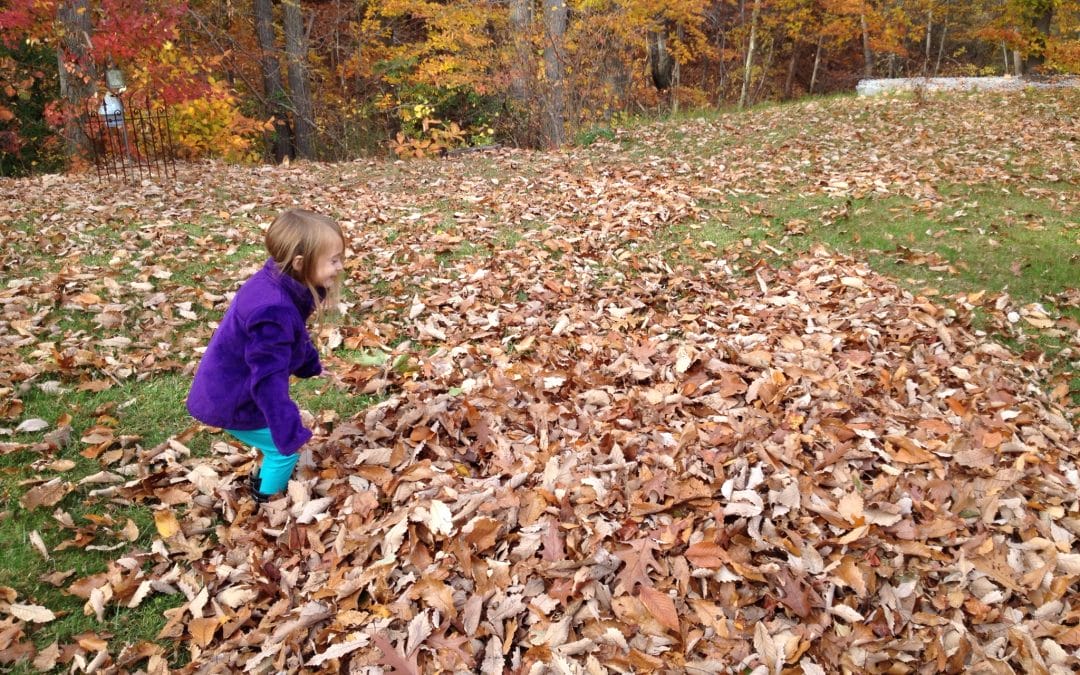 Jumping in the leaves!