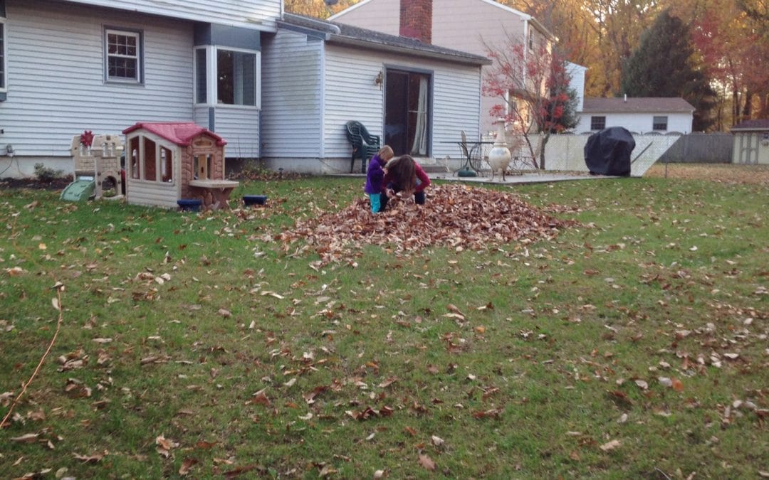 Now mommy’s in the leaves!