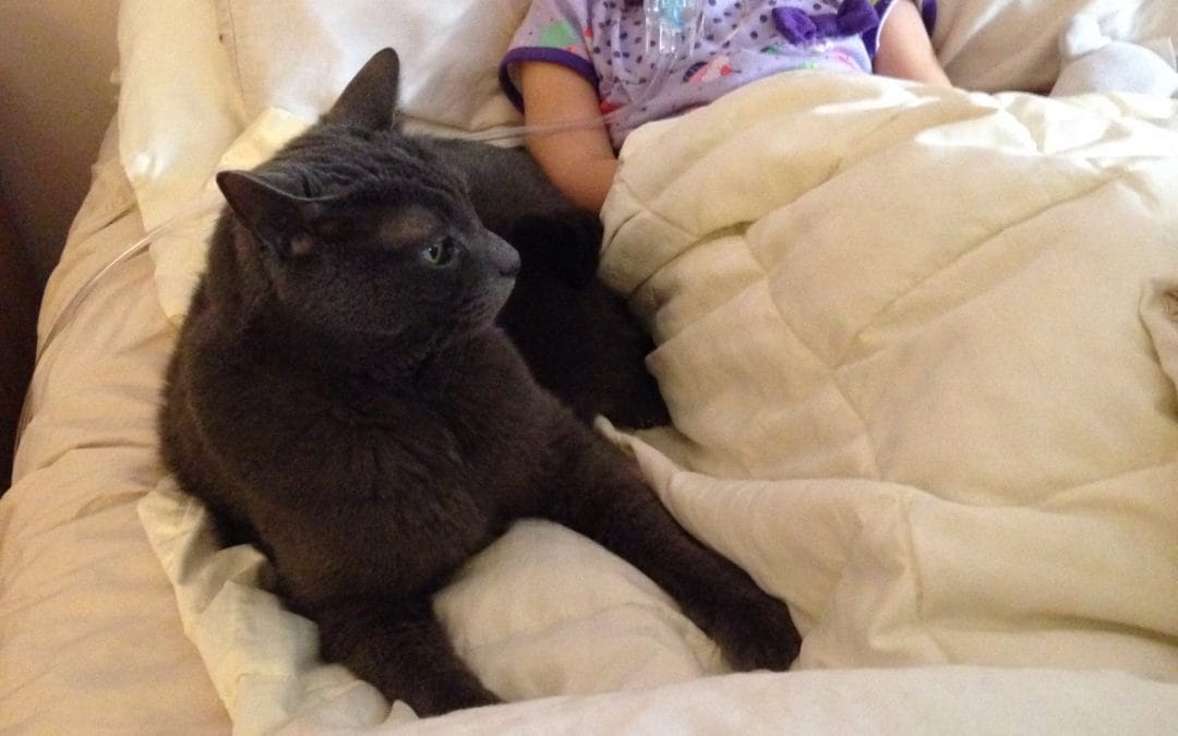 Charlie looks out for me